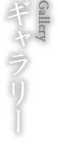 ギャラリー