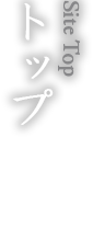 トップ